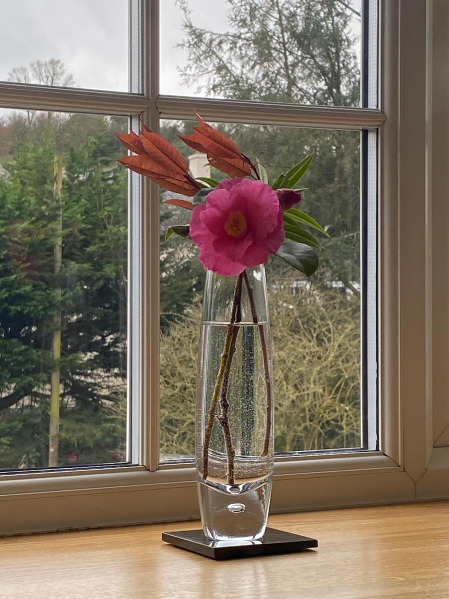 Lynwood House Bed And Breakfast Tregoney Экстерьер фото